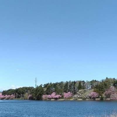 【ランニング・ウォーキング】北上総合運動公園３㎞コース