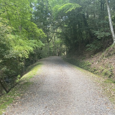 春日山原始林＋若草山1周回