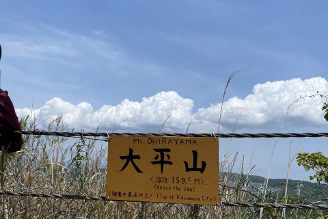 【中止】超★初心者向けトレイルランニング・横浜市最高峰の頂で山カフェを楽しもう