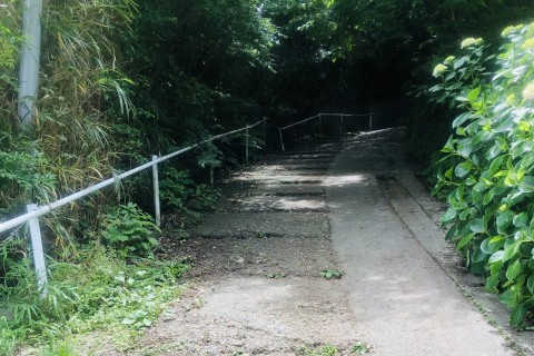 障がい者とその保護者向け 「逗子でハイキングに行こう♪」