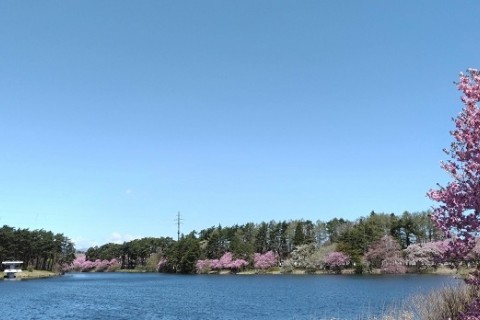 【ランニング・ウォーキング】北上総合運動公園３㎞コース
