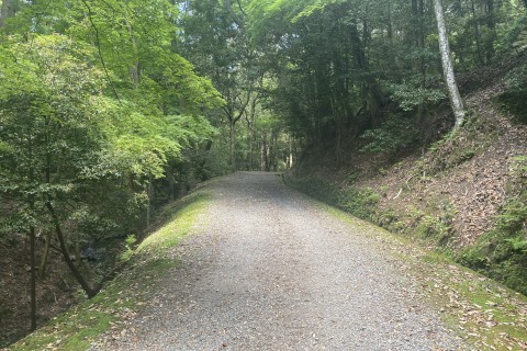 春日山原始林＋若草山1周回