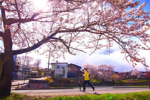 第1弾オンライン企画「お花見RUN」【いわて県南レジェンドランナーズ17】