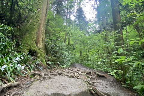 【中止】超★初心者向けトレイルランニング・横浜市最高峰の頂で山カフェを楽しもう