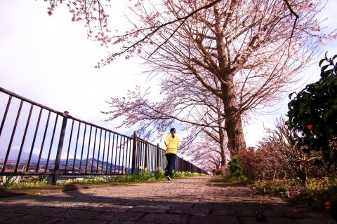 第1弾オンライン企画「お花見RUN」【いわて県南レジェンドランナーズ17】