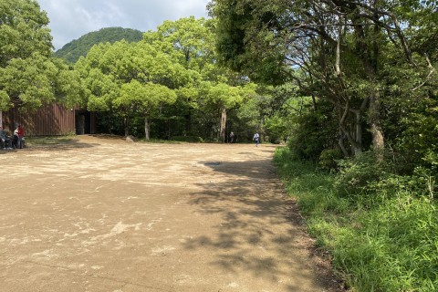 甲山森林公園クロカンコース