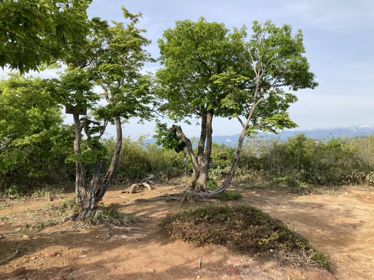 山頂は開けていて、休憩ができます。