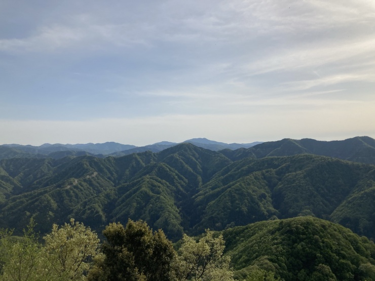 頂上からの眺望。動山は周辺の山の中でもなかなか眺望が良いのです。
