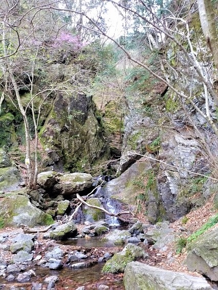 涼やかな沢歩きを楽しめます