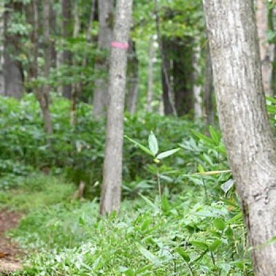 北海道アウトドアフェスティバル2026inルスツ　マウンテンマラソン・トレイルランニング