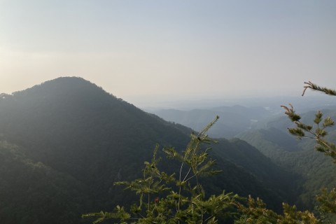 【中級】【距離12km／累積720ｍ】三童子山～鞍掛山スカイトレイル縦走