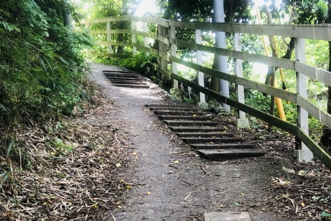 障がい者とその保護者向け   「逗子でハイキングに行こう♪」