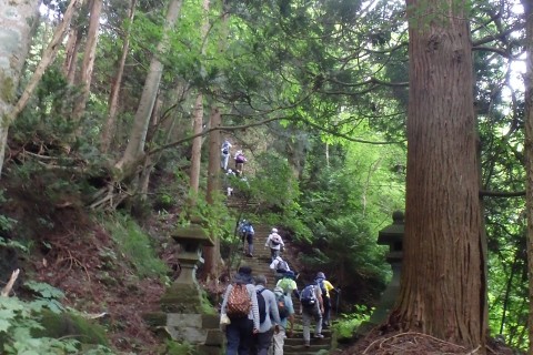 【ネット申込終了】てくてく健康「里山あるき」信仰の歴史を語る荒倉山から由良へ