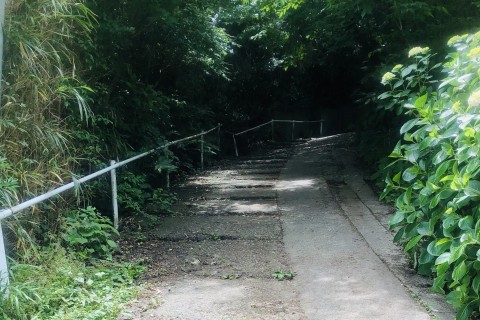 障がい者とその保護者向け   「逗子でハイキングに行こう♪」