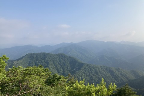 【中級】【距離12km／累積720ｍ】三童子山～鞍掛山スカイトレイル縦走