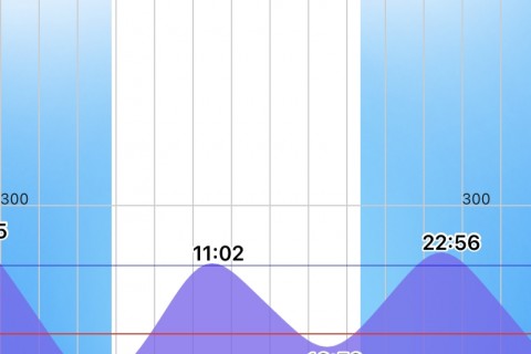 錦江湾オープンウォータースイム2021.8.29
