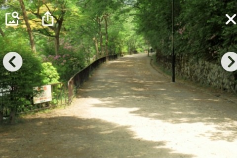 宝ヶ池キッズランニング部