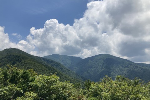 【上級】【山中温泉ツアー付き】【雨天中止】【距離11km/累積1,500m】大日山・往復トレイル