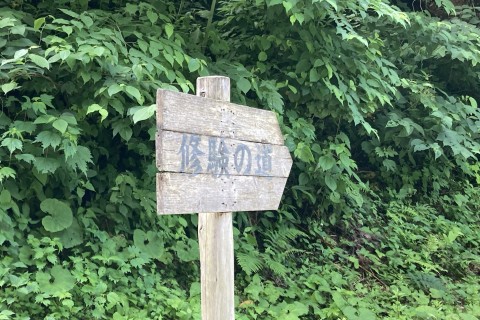 【和倉温泉ツアー付き・限定3名】【距離17km／累積1,500ｍ】中能登町・「修験の道」往復トレイル