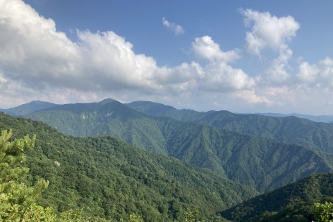 【5名限定】【山中温泉ツアー付き】【距離13km/累積1,300m】富士写が岳・火燈古道周回トレイル