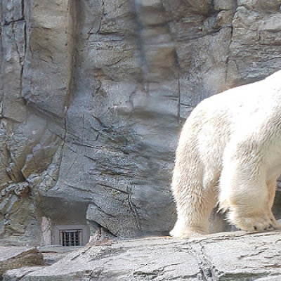 男鹿温泉郷起点　GAOの豪太君に会いに行く　さふらっとガイド