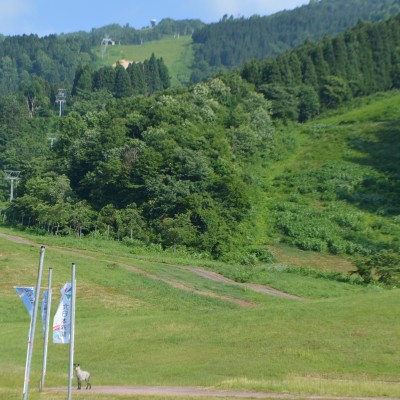 立山山麓スキー場