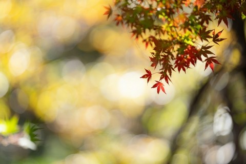 トレラン界のレジェンドと天竜の大自然を駆ける！浜松・浜名湖トレイルランイベント