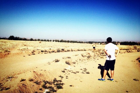 嶋原清子【東京・皇居】20キロビルドアップ走＋ランチ忘年会