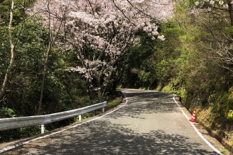 日峰山登坂コース