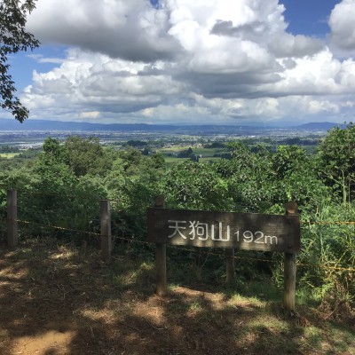 ヒヨドリ山コース（松葉のこみち経由）