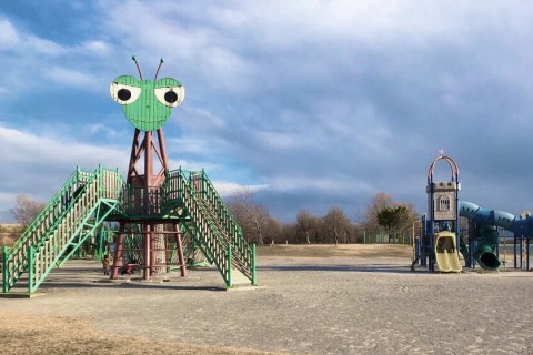 REDコーチのサブ4～4.5向け練習会@さいたま彩湖 2月