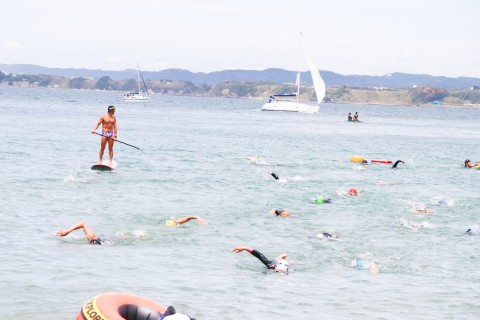 【JSCA練習会】SWIMトレーニング in 油壷（1DAY）