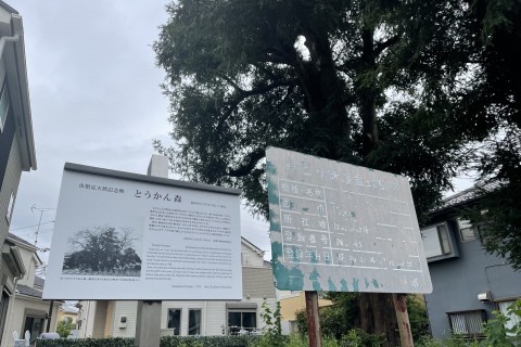 新撰組ふるさと日野　史跡巡りマラニック