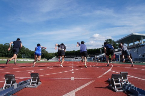 SIGNAL SPECIAL  in Chiba_1212