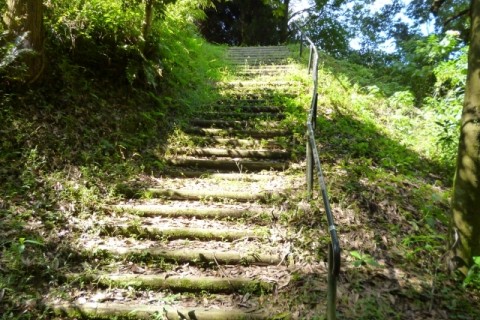 初心者対象トレイルランニング