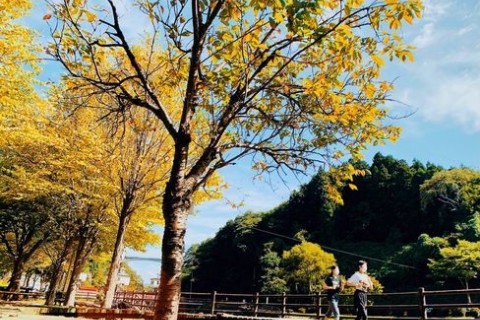 第４弾オンライン企画「紅葉RUN」【いわて県南レジェンドランナーズ17】