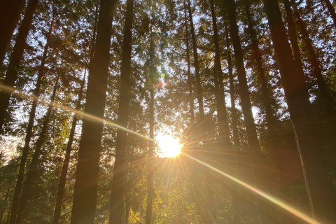 Trail running&Beer @Mt.TAKAO BASE CAMP