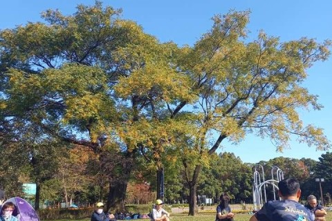 【名古屋市】みんなのランニング！PROJECTランニングセミナ～応用編～