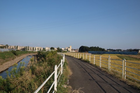 LSD走専門、『ランナーズ』掲載の！【境川ランナーズ】（横浜↔江ノ島）メンバー募集中！