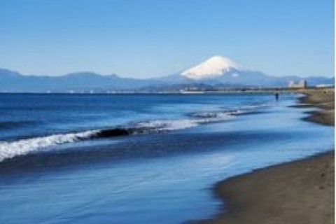 月例湘南マラソン 2022年2月6日（日）