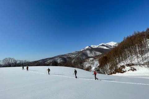 RENTAL （第16回山岳スキー競技日本選手権）