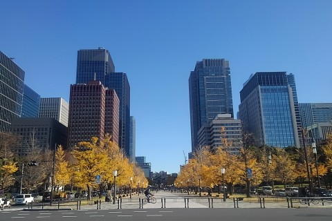 【開催予定ですが、最終確認は8日5時とします】「30キロペース走＠皇居」2月(1)