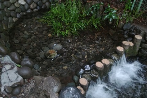 新春開運スポットランニングin国分寺