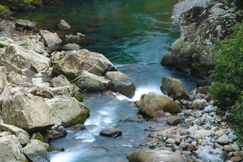 第1回 野根川リバーラン