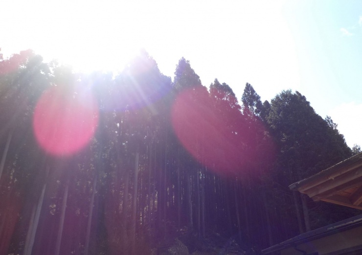 森の小道も　駈けて