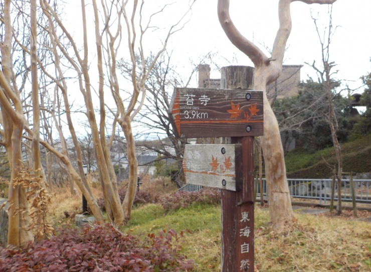 自然歩道も駈け