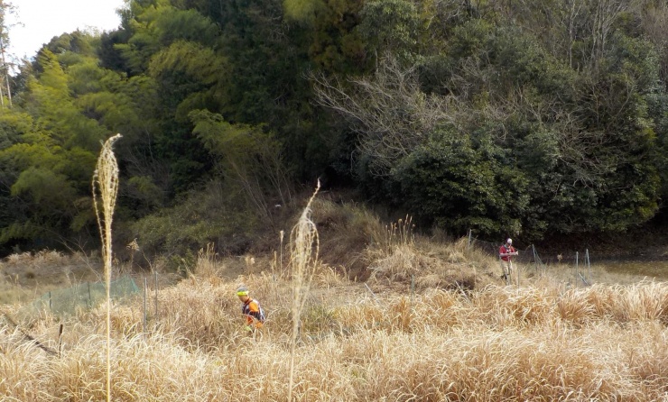 竹藪　森や　田んぼ跡