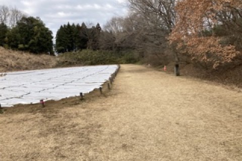 第２回SPCクロスカントリー選手権（申し込み延長）