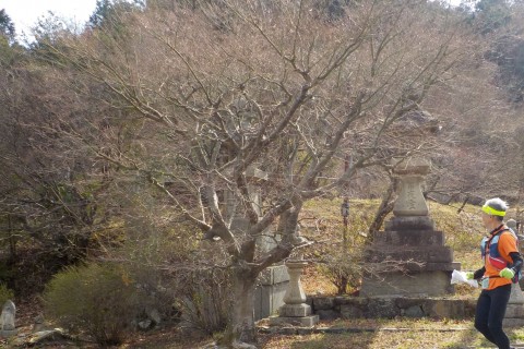 京都西山　トレイル・も・ラン