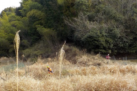 京都西山　トレイル・も・ラン